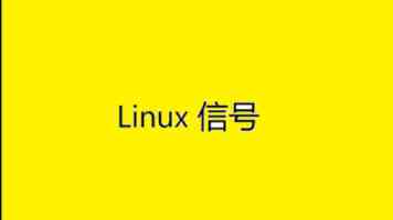 中国—中亚地方合作亮点纷呈（环球热点）