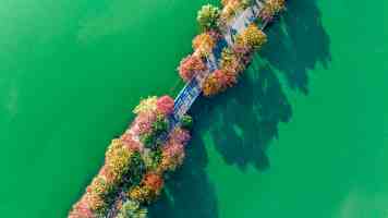【文脉华章】习言道｜在心愿树旁，习近平说出自己的心愿