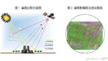 尻逼 - 网络低俗词的来源、语义演变与使用场景