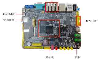 荔枝新品种“仙桃荔”上市