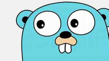 亚洲精选基金｜一年持有体验与净值波动复盘