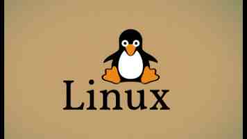 两年半社区｜新手入门、热门玩法与圈内文化全解析